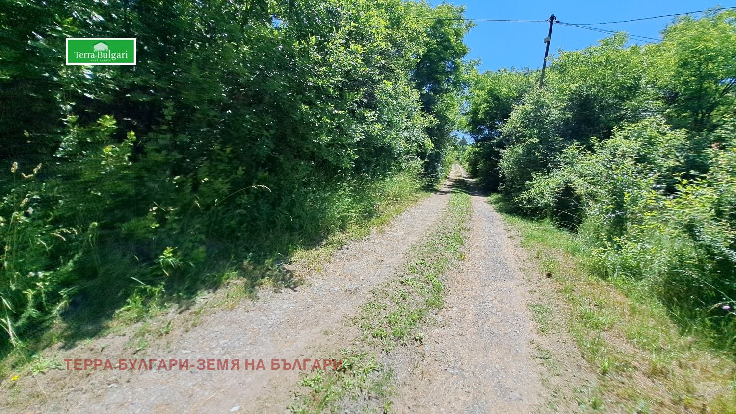 Продава ЗЕМЕДЕЛСКА ЗЕМЯ, с. Драгичево, област Перник, снимка 2 - Земеделска земя - 50691534