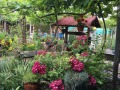 Продава КЪЩА, област Плевен, с. Ореховица • 29000 € • 90306583 — Holmes.bg