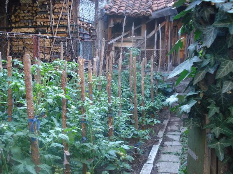 ������� ���� | Imot.bg � ����������� 10