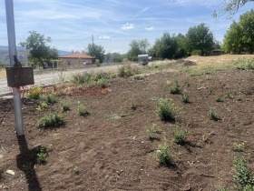 ������� ������ | Imot.bg � ����� ������ 8