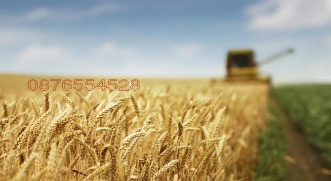 Продава ЗЕМЕДЕЛСКА ЗЕМЯ, с. Безводица, област Добрич