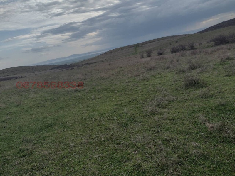 Продава ЗЕМЕДЕЛСКА ЗЕМЯ, гр. Каблешково, област Бургас, снимка 10 - Земеделска земя - 53398478