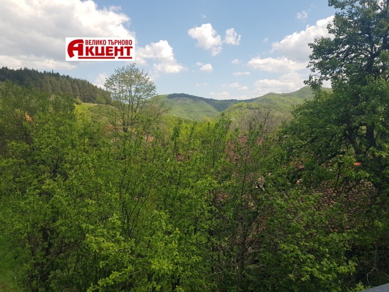 Продава БИЗНЕС ИМОТ, гр. Елена, област Велико Търново, снимка 11 - Други - 50193670