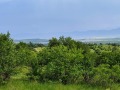 Продава ПАРЦЕЛ, с. Пауново, област София област, снимка 3