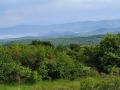 Продава ПАРЦЕЛ, с. Пауново, област София област, снимка 4