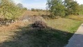 Продава ПАРЦЕЛ, с. Добрина, област Варна, снимка 3