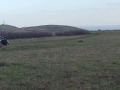Продава ЗЕМЕДЕЛСКА ЗЕМЯ, гр. Каблешково, област Бургас, снимка 4