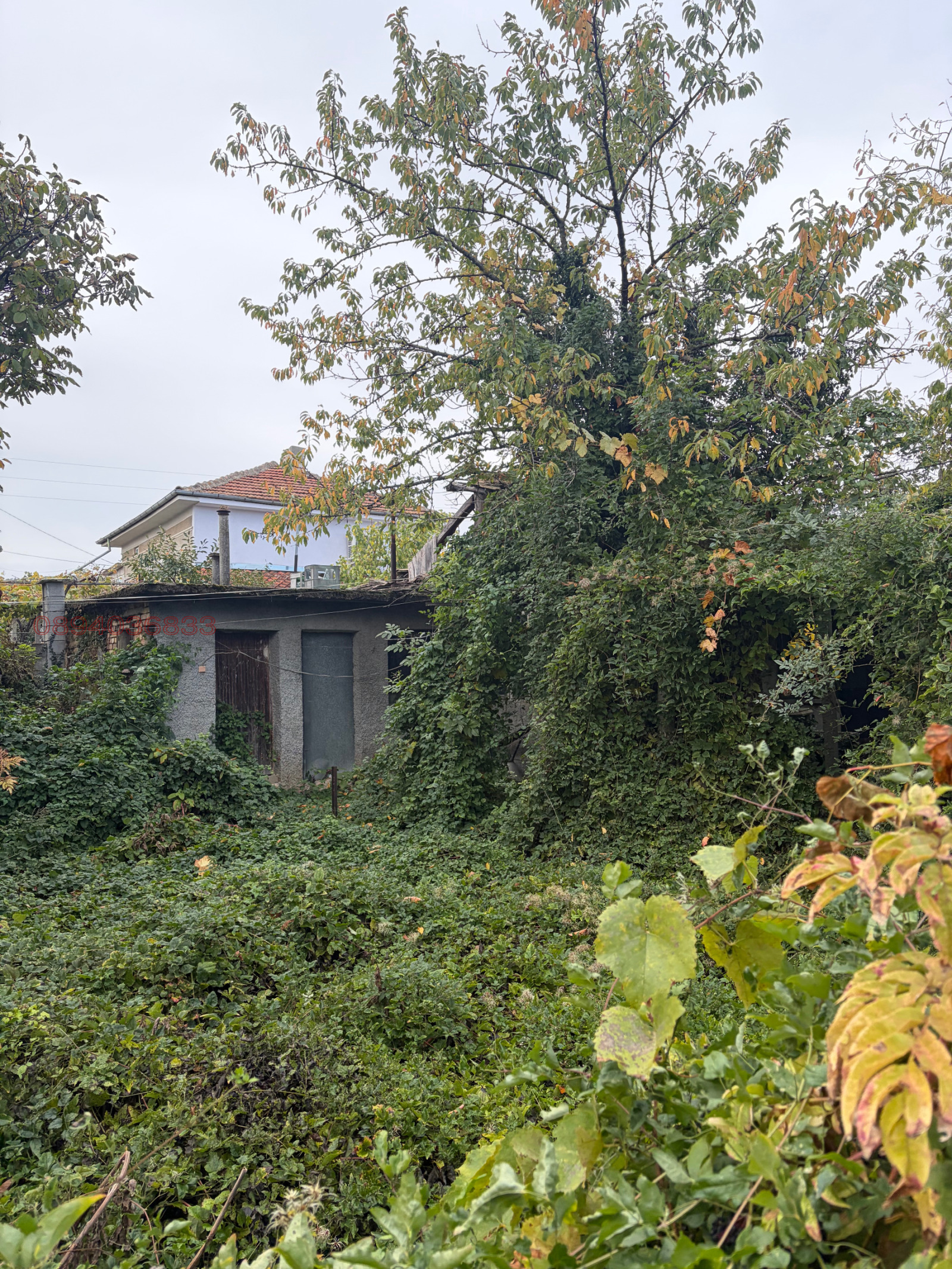 ������� ���� | Imot.bg � ����������� 10