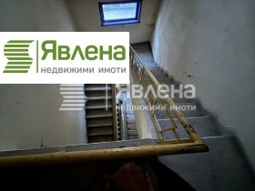 Hus Idealen tsentar, Pazardzhik 8
