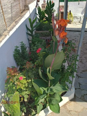 ������� ���� | Imot.bg � ����� ������ 9