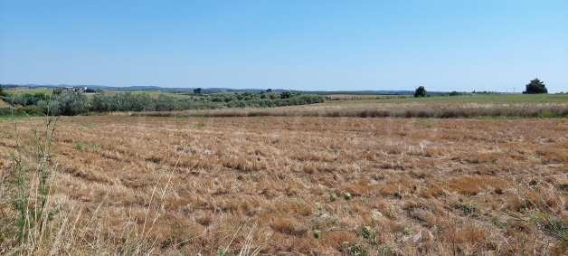 Продава  Парцел Гърция , Халкидики , 6110 кв.м | 10020474 - изображение [2]
