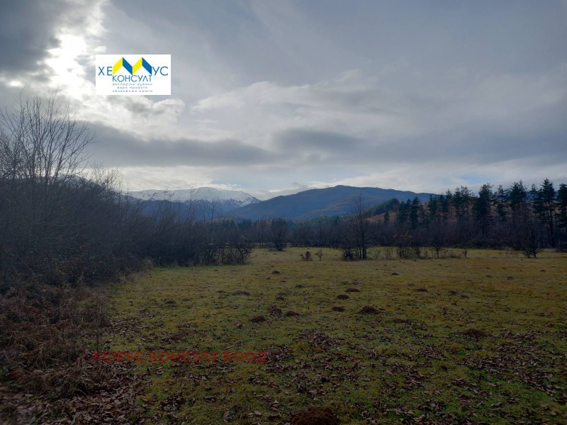 En venta  Tierra región Lovech , Apriltsi , 3.754 dka | 55764926 - imagen [6]