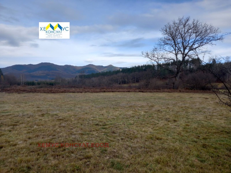 En venta  Tierra región Lovech , Apriltsi , 3.754 dka | 55764926 - imagen [4]