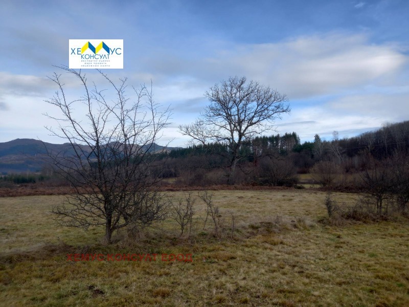 En venta  Tierra región Lovech , Apriltsi , 3.754 dka | 55764926 - imagen [3]