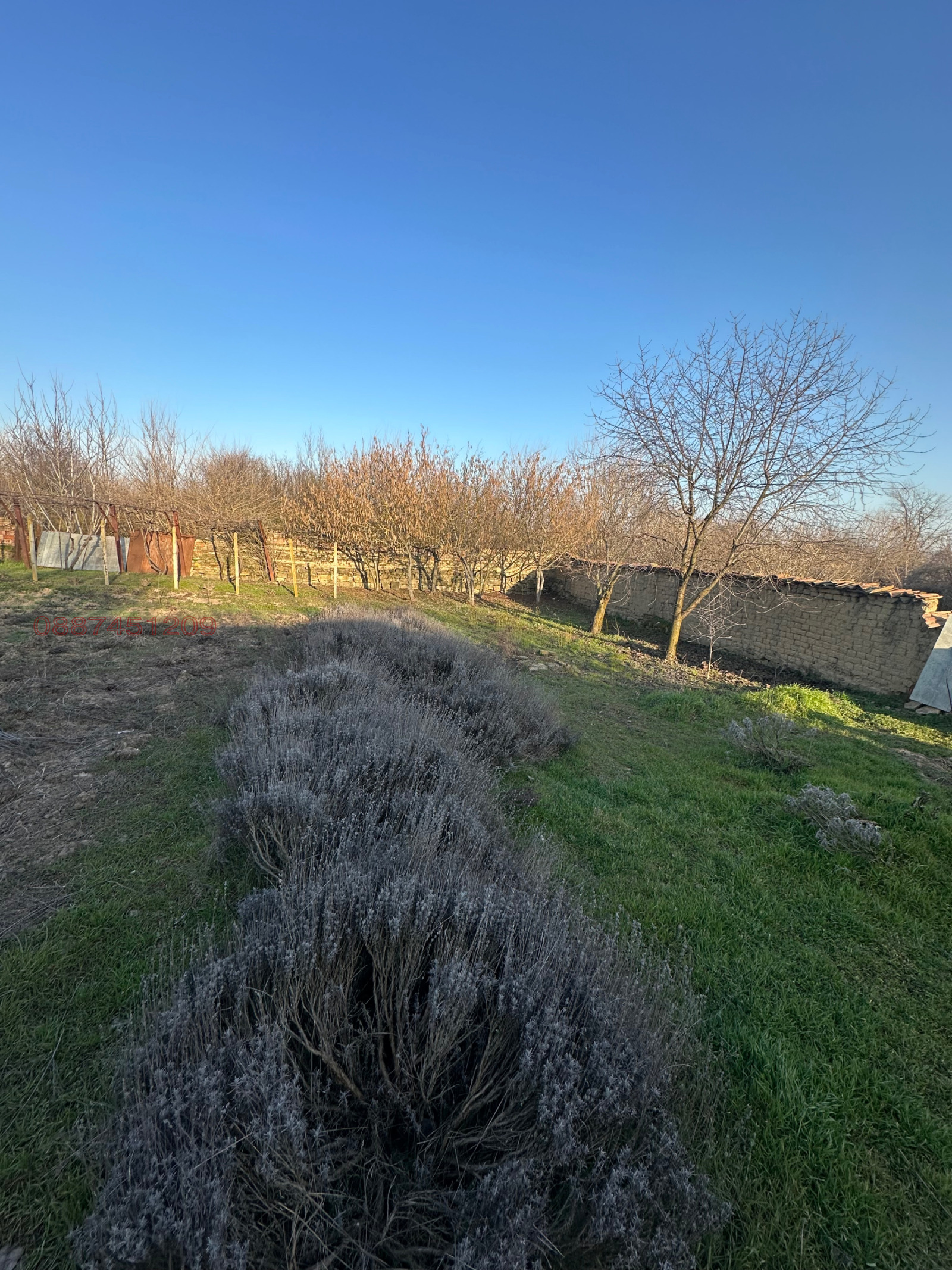 Продава КЪЩА, с. Асеновци, област Плевен, снимка 9 - Къщи - 53728437