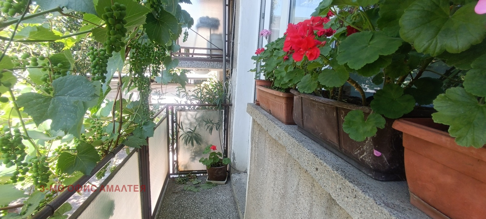 ������� ���� | Imot.bg � ����������� 5