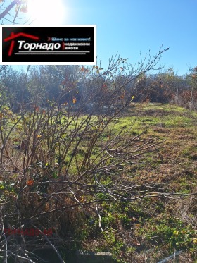 Hus Polikraishte, region Veliko Tarnovo 4