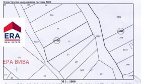 ����� ������� ������,���� �����, ����� ����