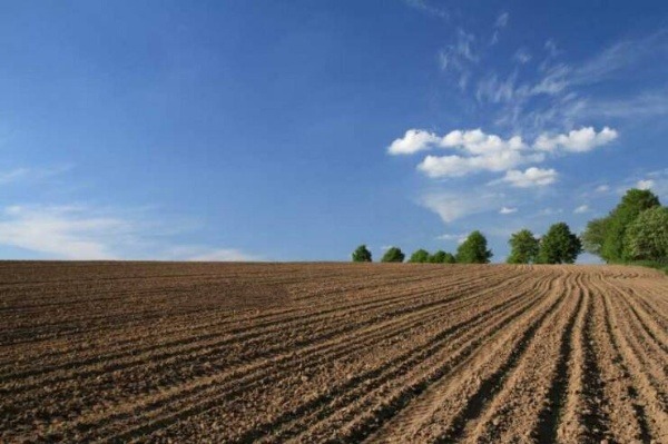 На продаж  Земля область Бургас , Камено , 8 dka | 37267121