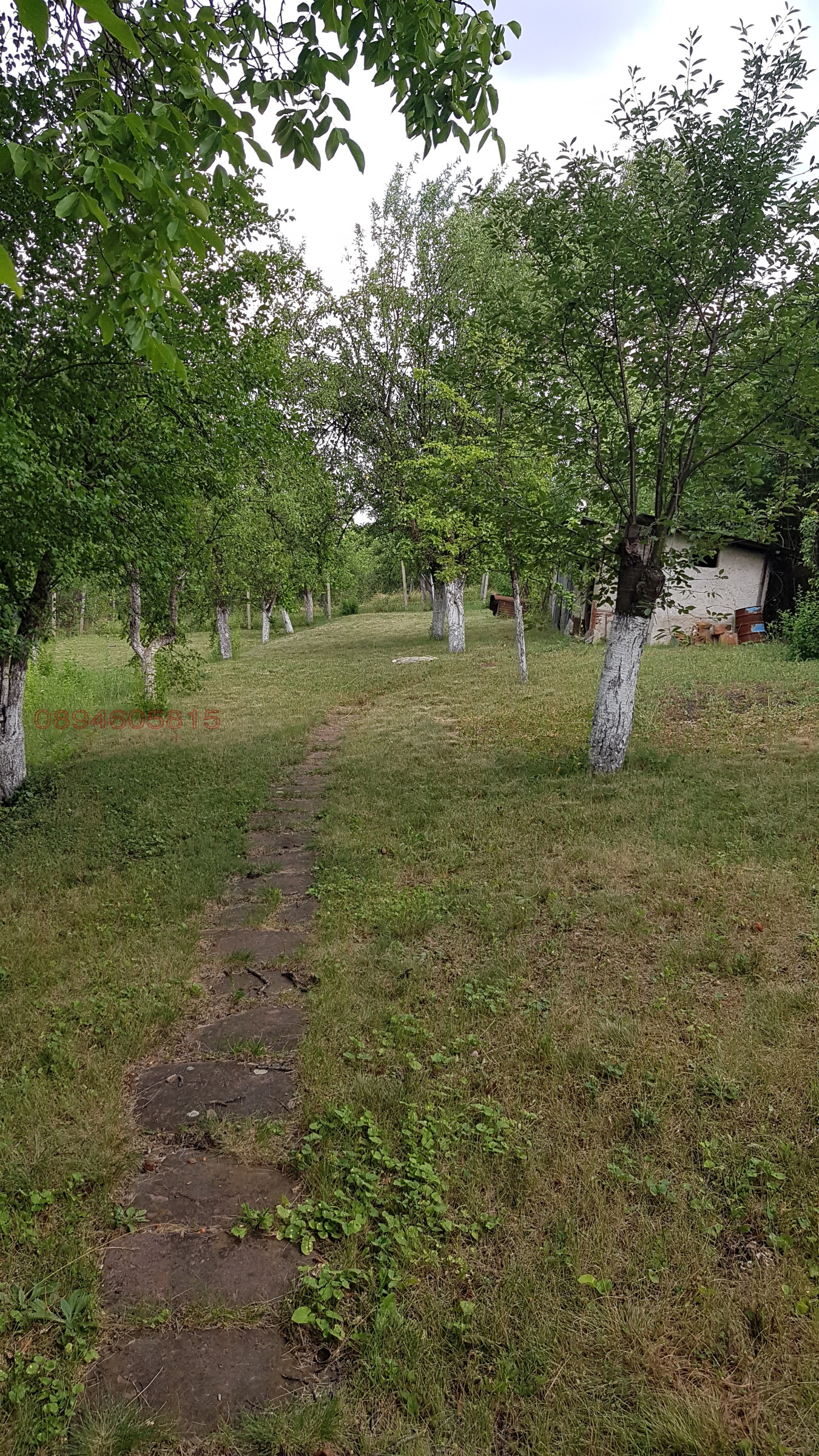 ������� ���� | Imot.bg � ����������� 1