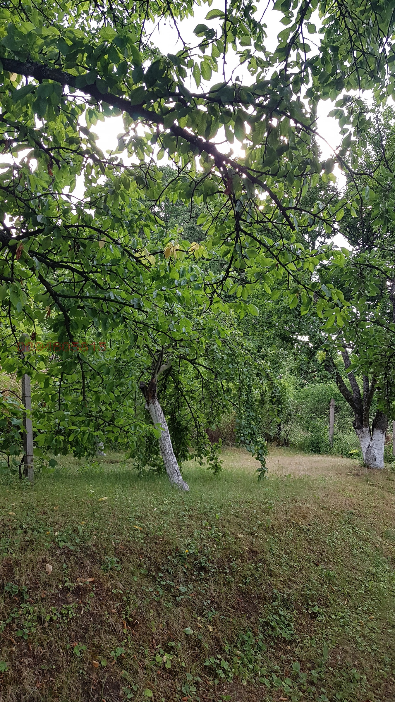 ������� ���� | Imot.bg � ����������� 4