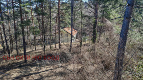 ������� ������ | Imot.bg � ����� ������ 5