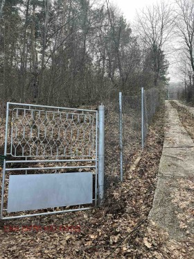 ������ ������� ������