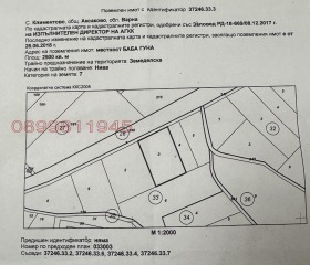 ����� ������� ������,��. ��������, ������ �����