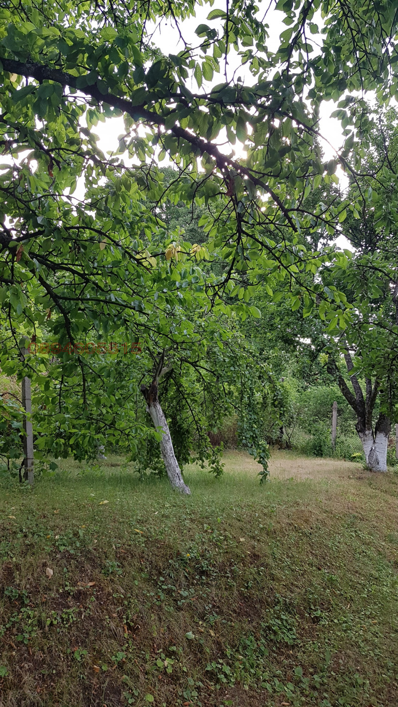 Продава ВИЛА, с. Николаево, област Перник, снимка 4 - Вили - 52784259