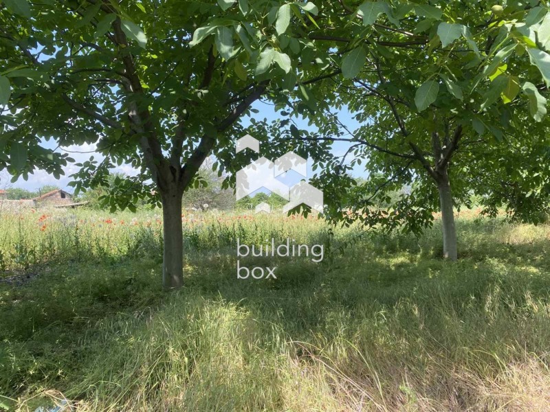 Na prodej  Dům oblast Plovdiv , Strjama , 52 m2 | 84780873 - obraz [10]