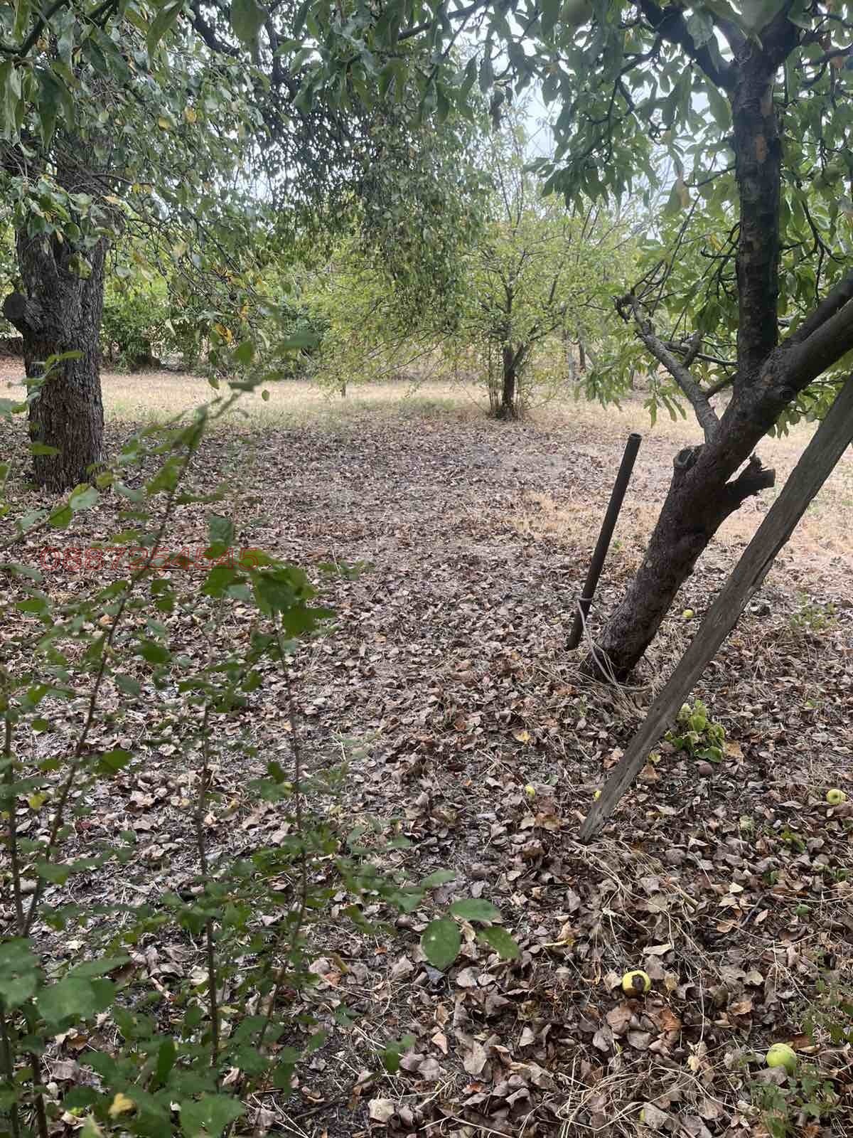 Продава ВИЛА, с. Айдемир, област Силистра, снимка 9 - Вили - 54179298