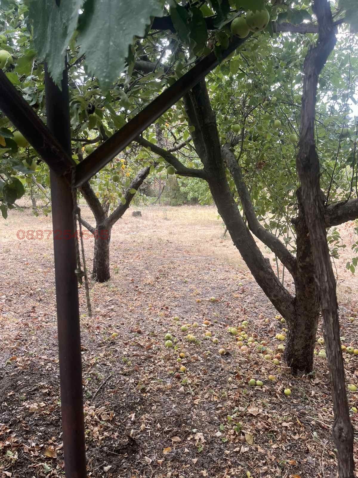 Продава ВИЛА, с. Айдемир, област Силистра, снимка 10 - Вили - 54179298