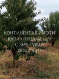 Продава ЗЕМЕДЕЛСКА ЗЕМЯ, с. Устина, област Пловдив, снимка 4