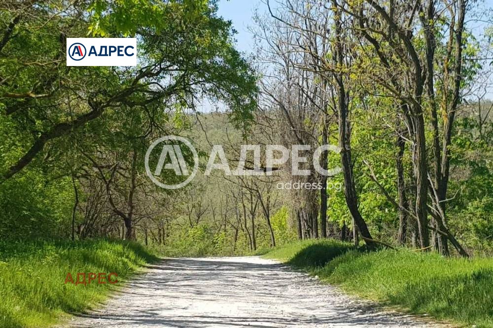 ������� ������ | Imot.bg � ����������� 15