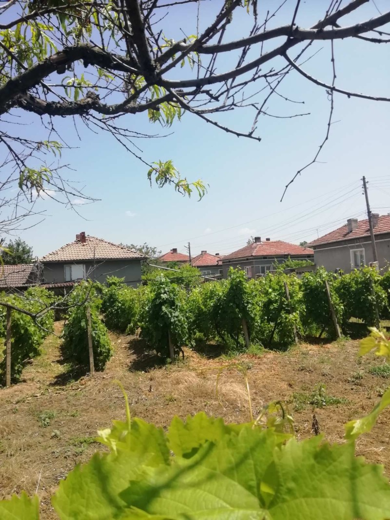 Продава КЪЩА, гр. Две могили, област Русе, снимка 14 - Къщи - 52783886