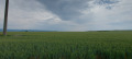 Продава ЗЕМЕДЕЛСКА ЗЕМЯ, с. Тънково, област Бургас, снимка 3 - Земеделска земя - 44405791