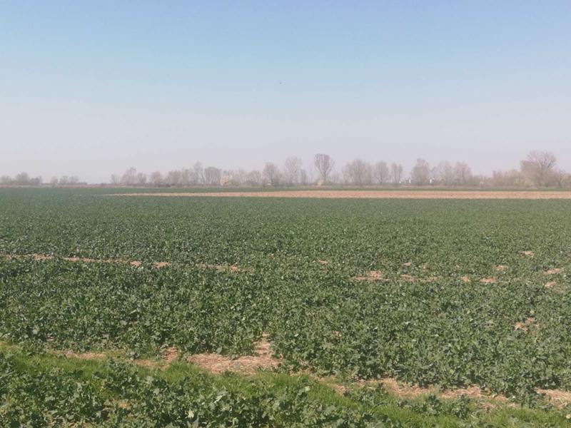 ������� ������ | Imot.bg � ����������� 2