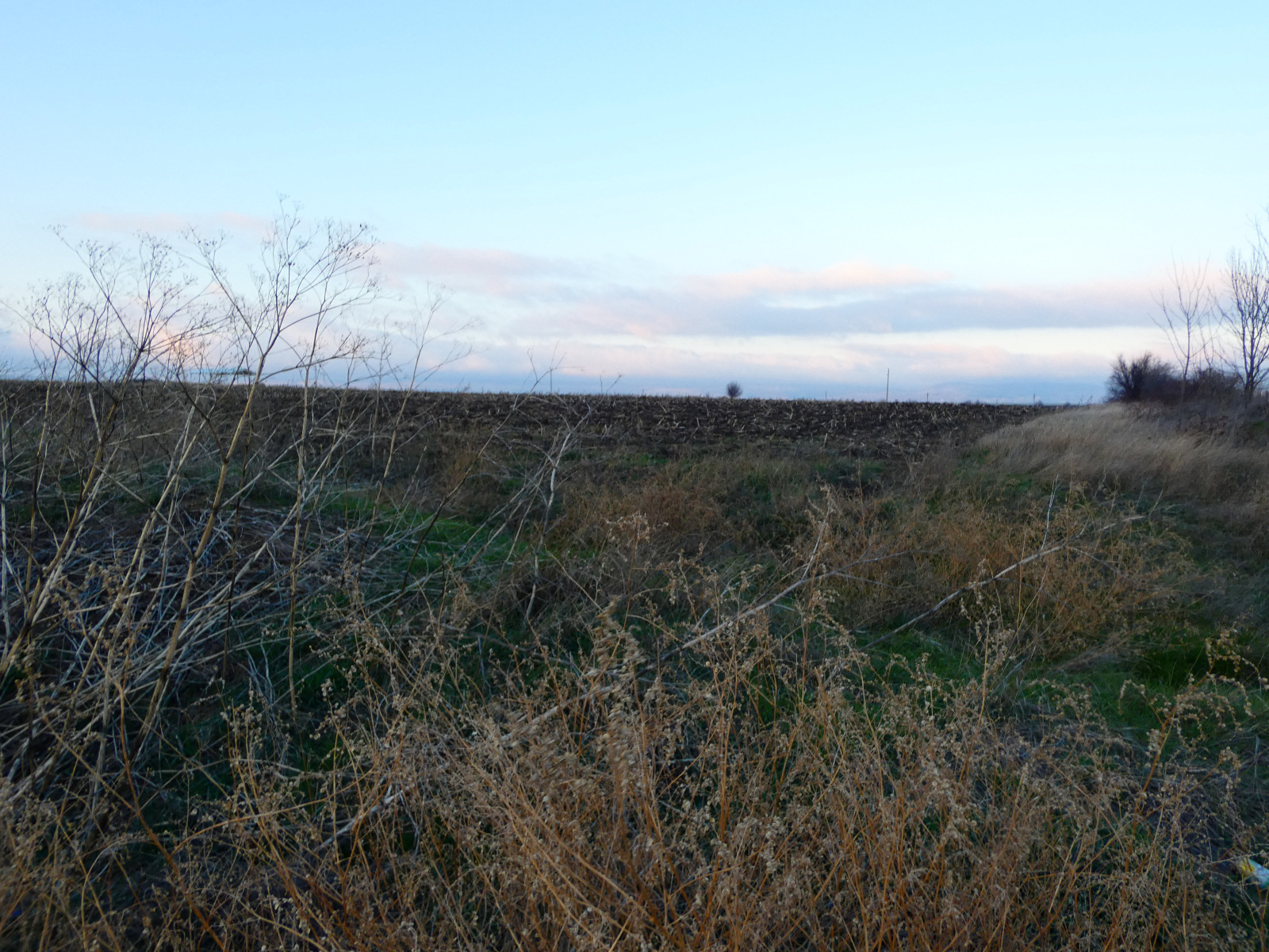 ������� ������ | Imot.bg � ����������� 2