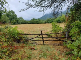 Plot Zlatitsa, region Sofia