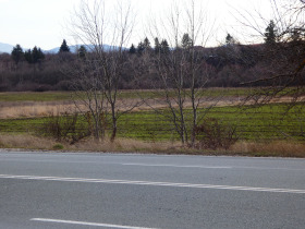 ����� ������� ������,���� �����, ����� 1