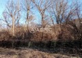 Продава ПАРЦЕЛ, област Велико Търново, с. Шемшево • 38000 € • 15225359 — Holmes.bg