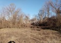 Продава ПАРЦЕЛ, област Велико Търново, с. Шемшево • 38000 € • 15225359 — Holmes.bg