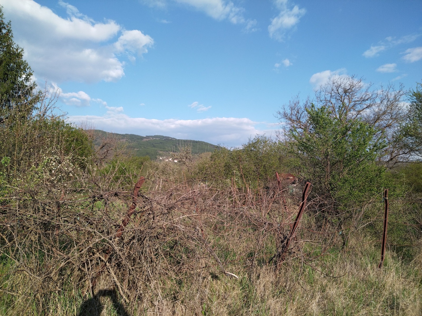 ������� ������ | Imot.bg � ����������� 4