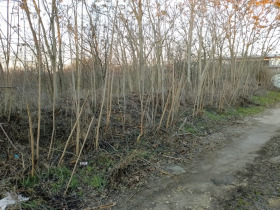 Plott Sjerventsi, region Varna