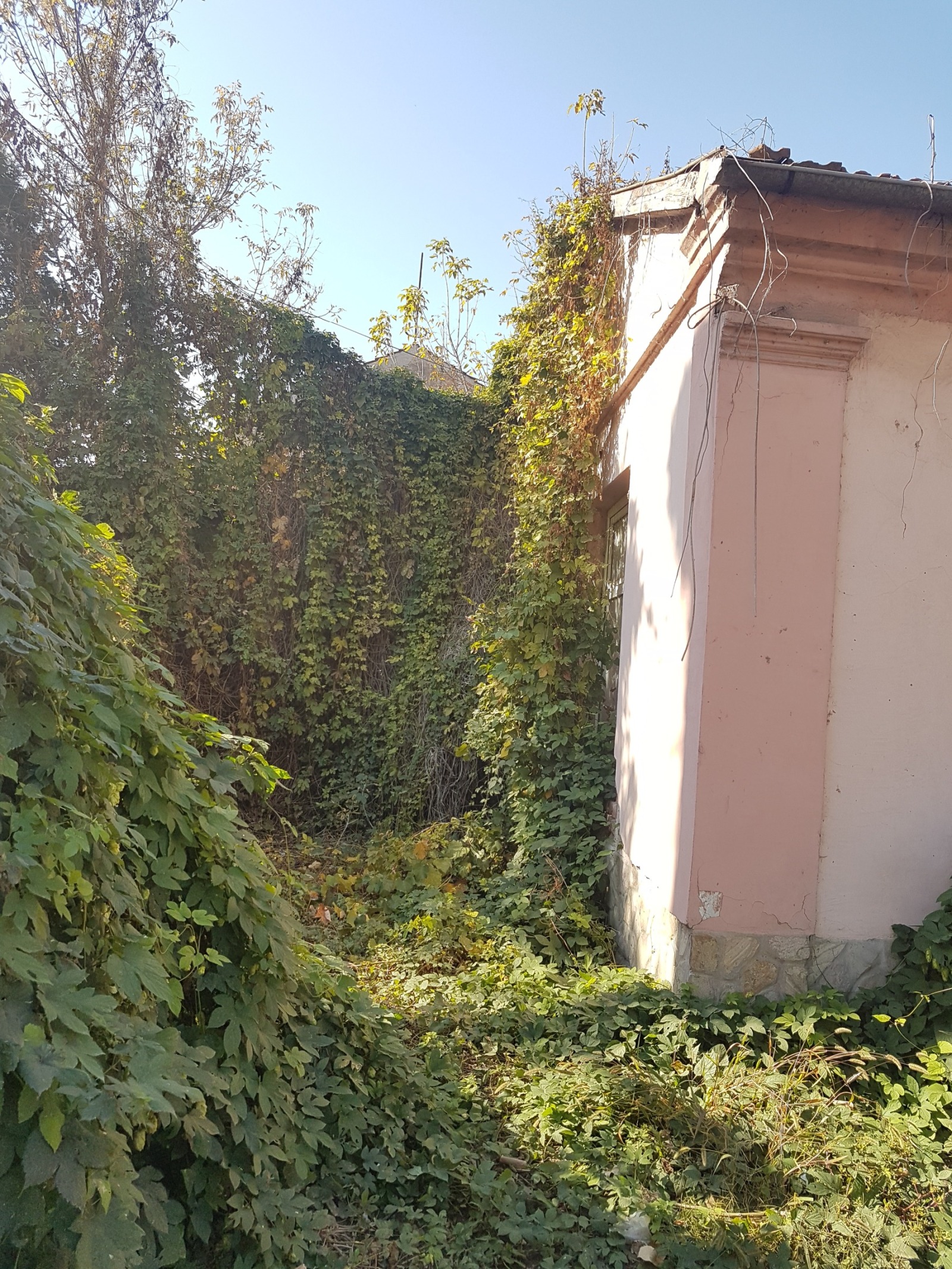 ������� ���� | Imot.bg � ����������� 7