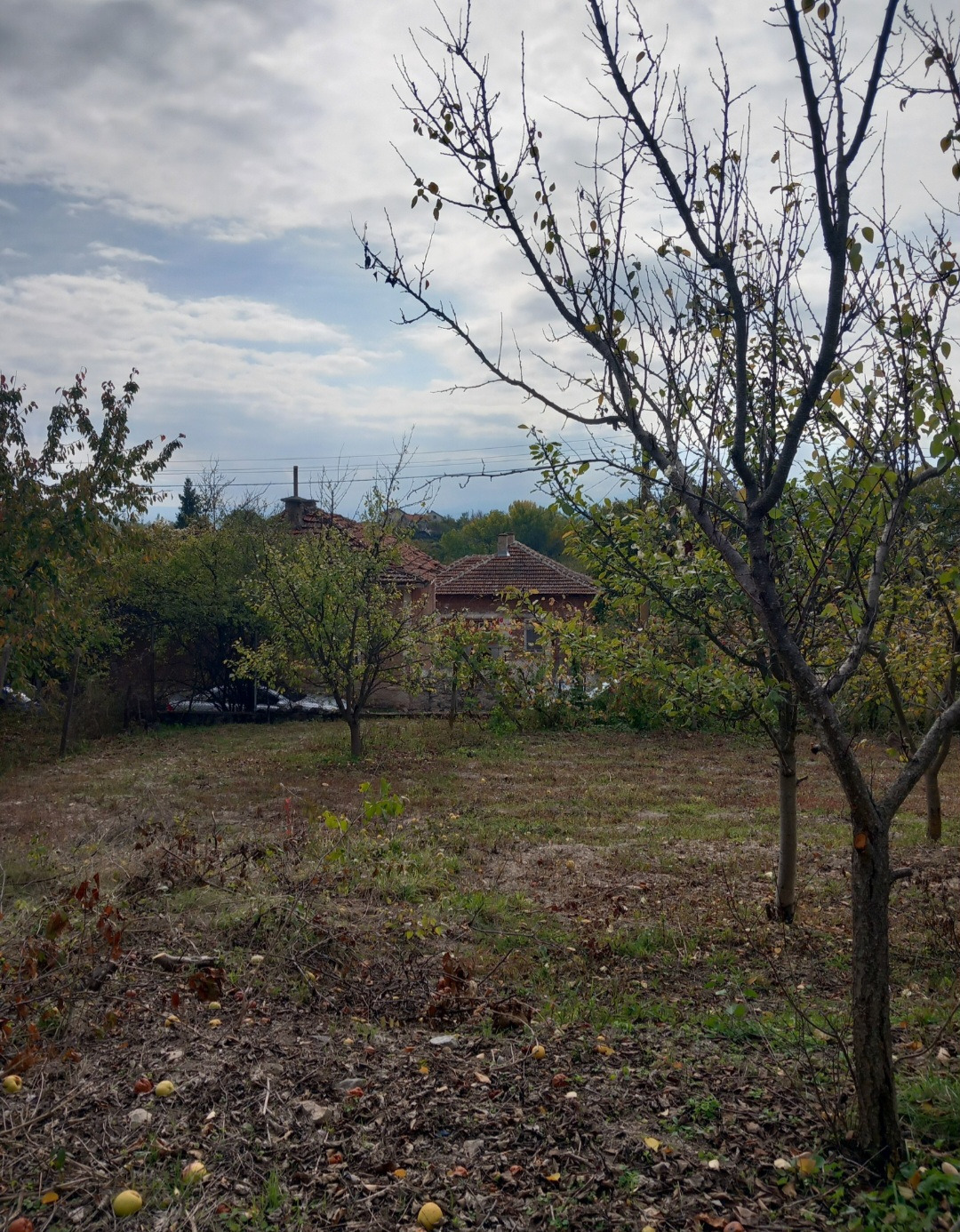 ������� ������ | Imot.bg � ����������� 8