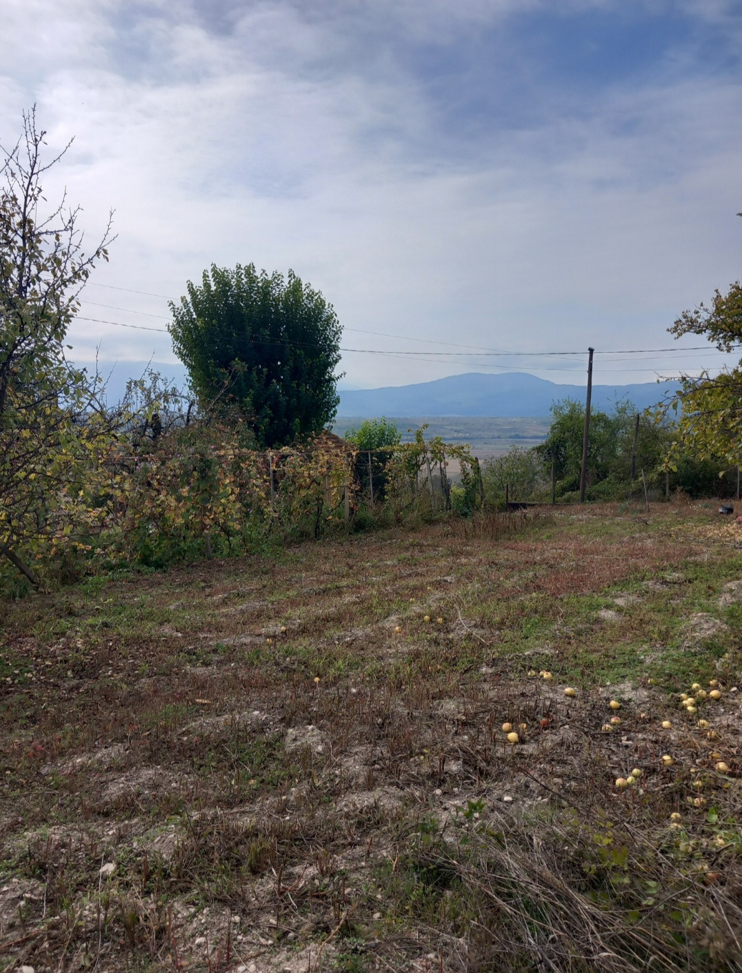 ������� ������ | Imot.bg � ����������� 7