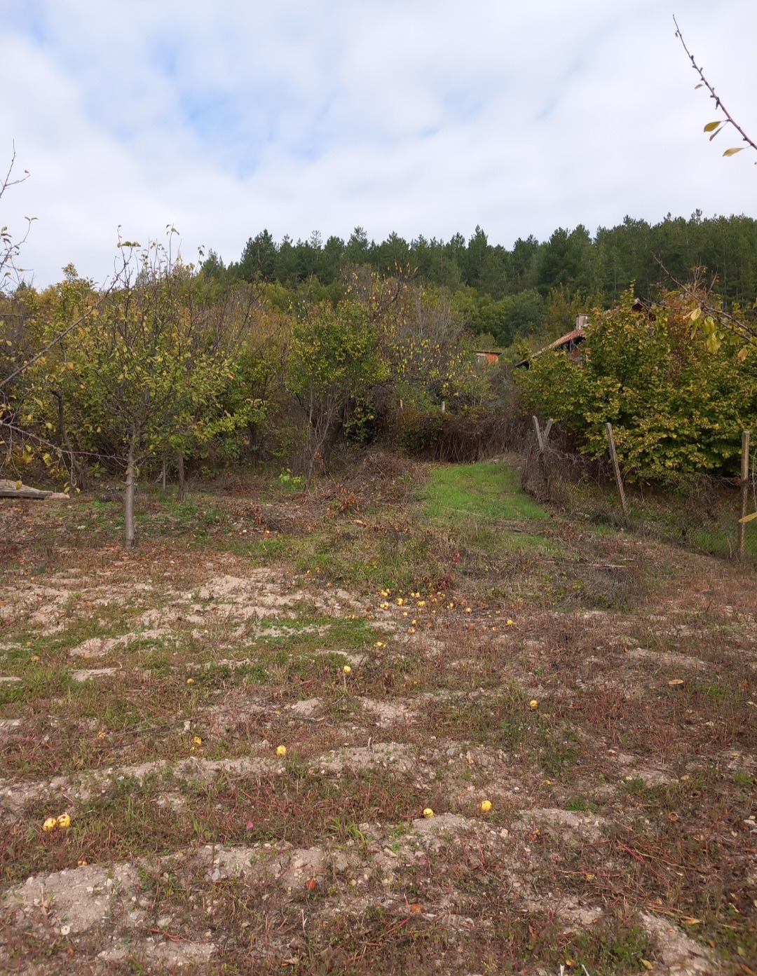 ������� ������ | Imot.bg � ����������� 4