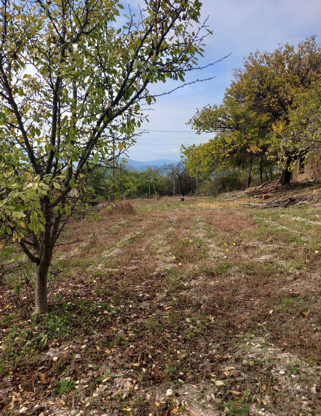 ������� ������ | Imot.bg � ����������� 6