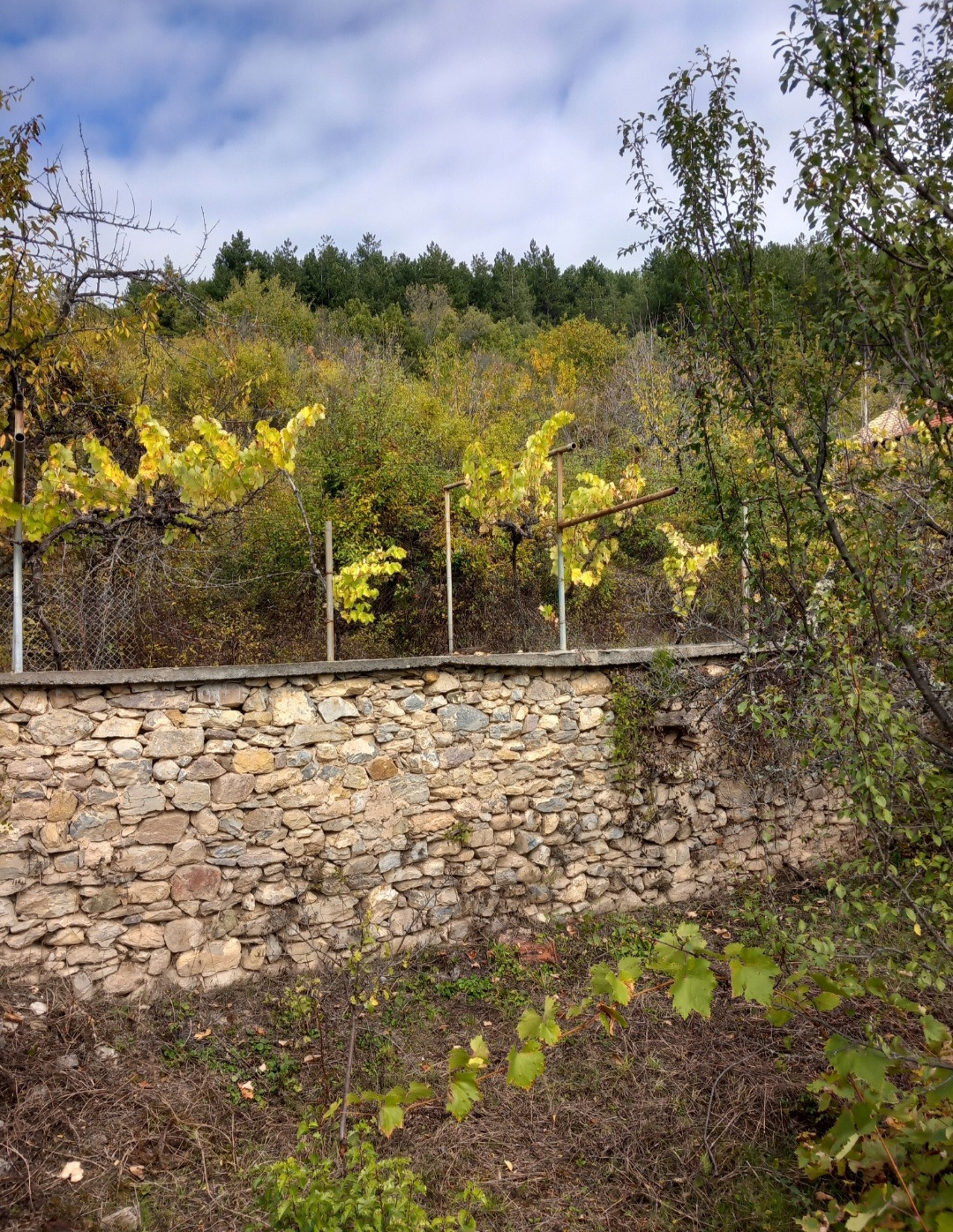 ������� ������ | Imot.bg � ����������� 9